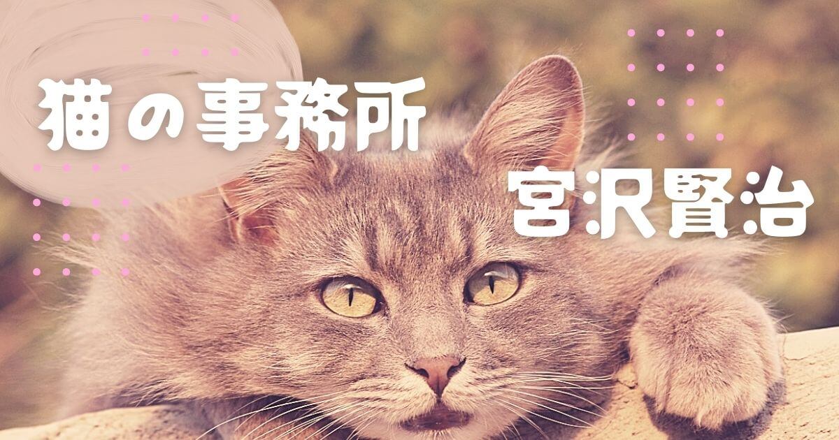 猫の事務所